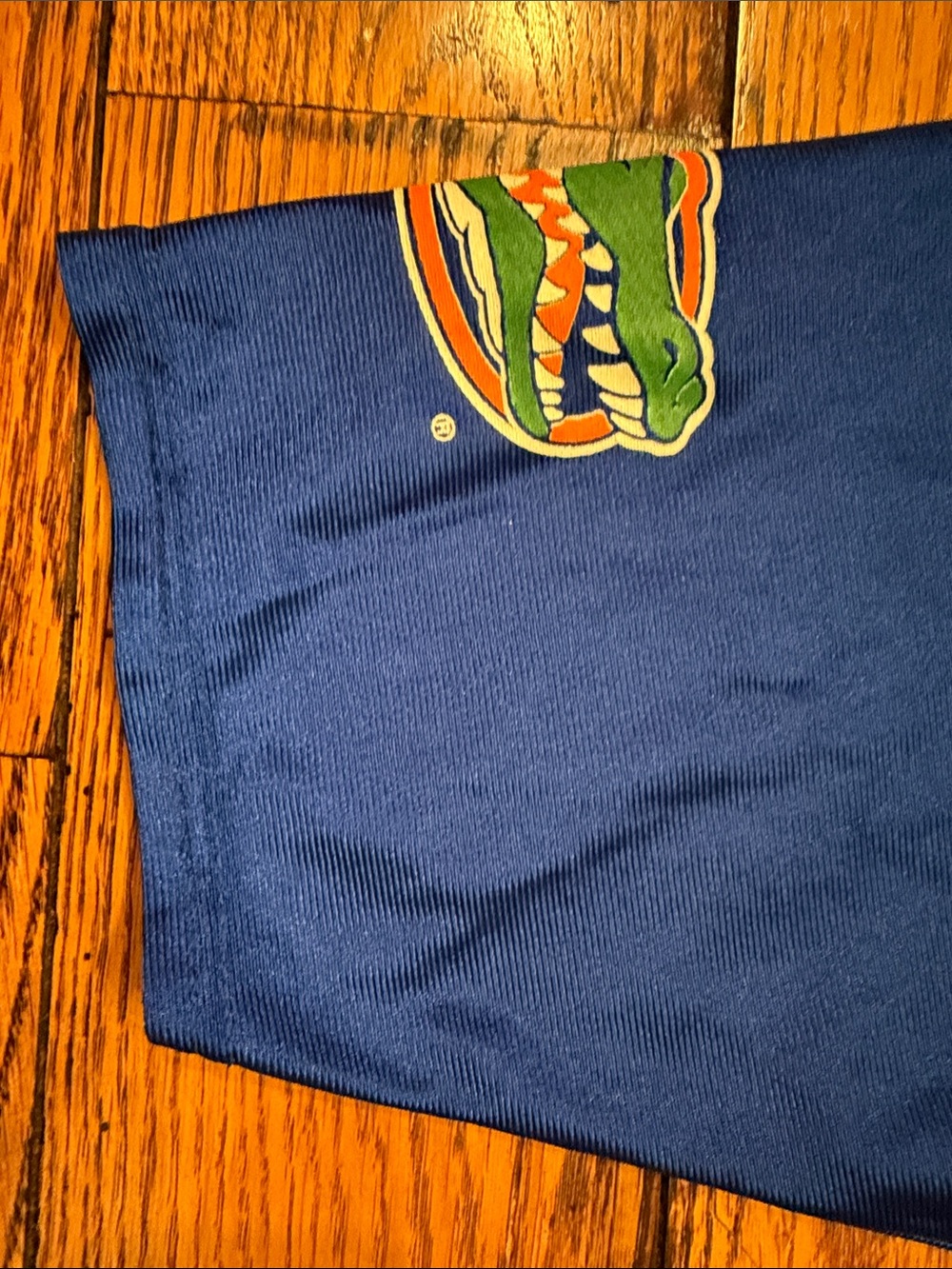 LOGO ATHLETIC YOUTH FLORIDA GATOR JERSEY BLUE, ORANGE, GREEN, WHITE SIZE LARGE - Picture 5 of 10